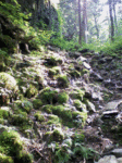 01.gif