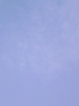 090319_1754~03.JPG