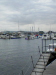 090516_1251~01.JPG