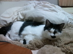 091024_2209~01.jpg
