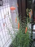 100702_1836~01.jpg