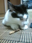 100803_2340~01.jpg
