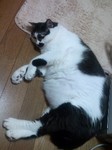 100817_0212~02.jpg