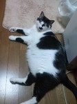 100817_0234~01.jpg