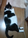100817_0240~01.jpg