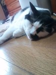 100819_1546~01.jpg