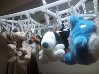 110203_1725~02.jpg