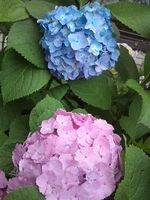 110613_1516~01.jpg