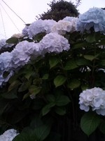 110616_1838~01.jpg