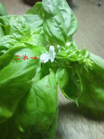 120503_1248~010.jpg