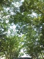 120516_1607~01.jpg