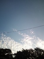 120912_0552~01.jpg