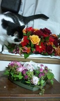 130618_1926~01.jpg