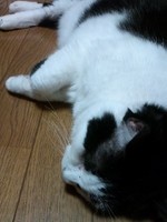 130806_0255~01.jpg