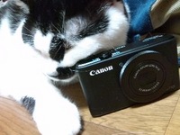 130819_1915~01.jpg