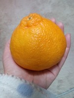 140108_0100~01.jpg