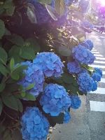 140609_1721~01.jpg