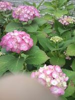 140610_1128~01.jpg