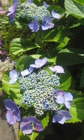 160531_1338~01.jpg