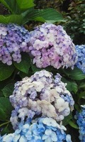 160621_1636~02.jpg