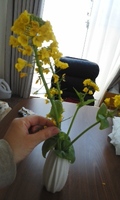 170404_0855~01.jpg