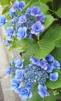 170609_1515~02.jpg