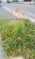 180405_0853~01.jpg