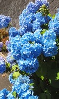 180601_0946~02.jpg