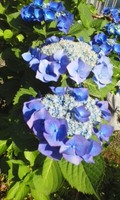 180607_1547~02.jpg