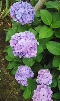 180613_1521~01.jpg