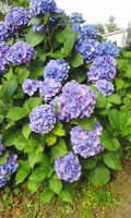 180613_1601~01.jpg