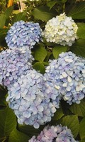 180616_1517~01.jpg