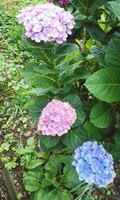 180616_1517~02.jpg