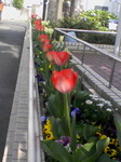 2009040401.JPG