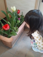 20190321_100717.jpg