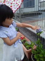 20190609_182453.jpg