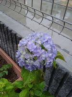 20190609_182513.jpg