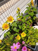 20190809_111856.jpg
