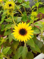 20190816_124537.jpg
