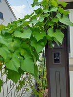 20190901_140429.jpg