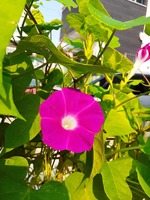 20190911_082835.jpg