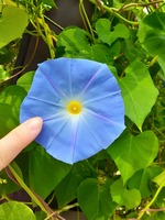 20191003_095844.jpg