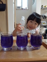 20191006_110950.jpg