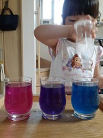 20191006_111038.jpg