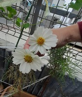 20191103_100146.jpg