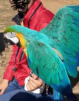 20191108_115713.jpg
