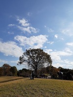 20191108_130243.jpg