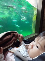 20191108_152048.jpg