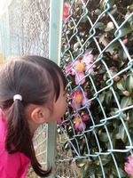 20191119_161340.jpg