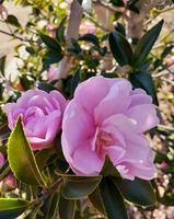 20191209_002143.jpg